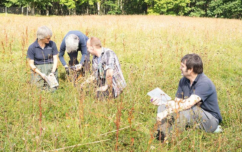 volunteers-planting